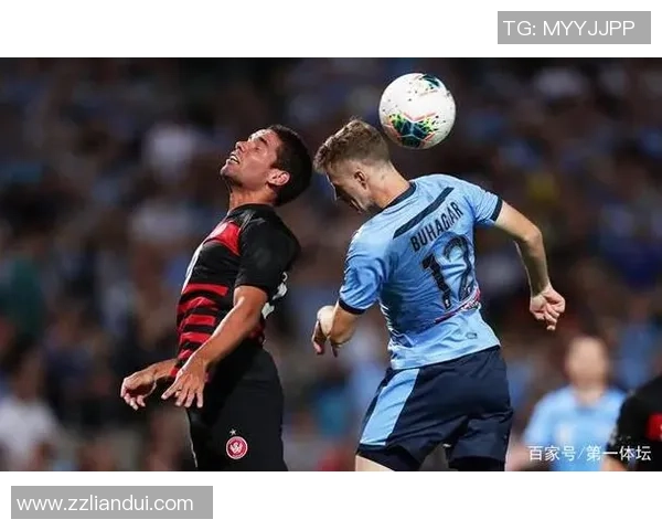 波尔图强强对话全场激战悬念迭起豪门争锋再现绿茵经典时刻 波尔图强强对话全场激战悬念迭起豪门争锋再现绿茵经典时刻