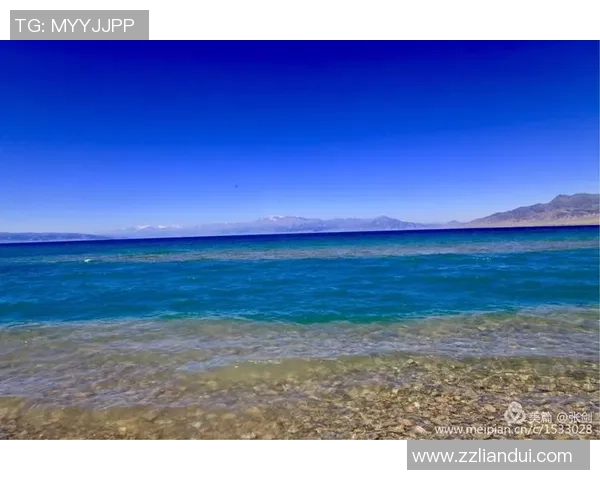 跳水运动的艺术与技巧探索：从入水姿势到空中翻腾的完美呈现